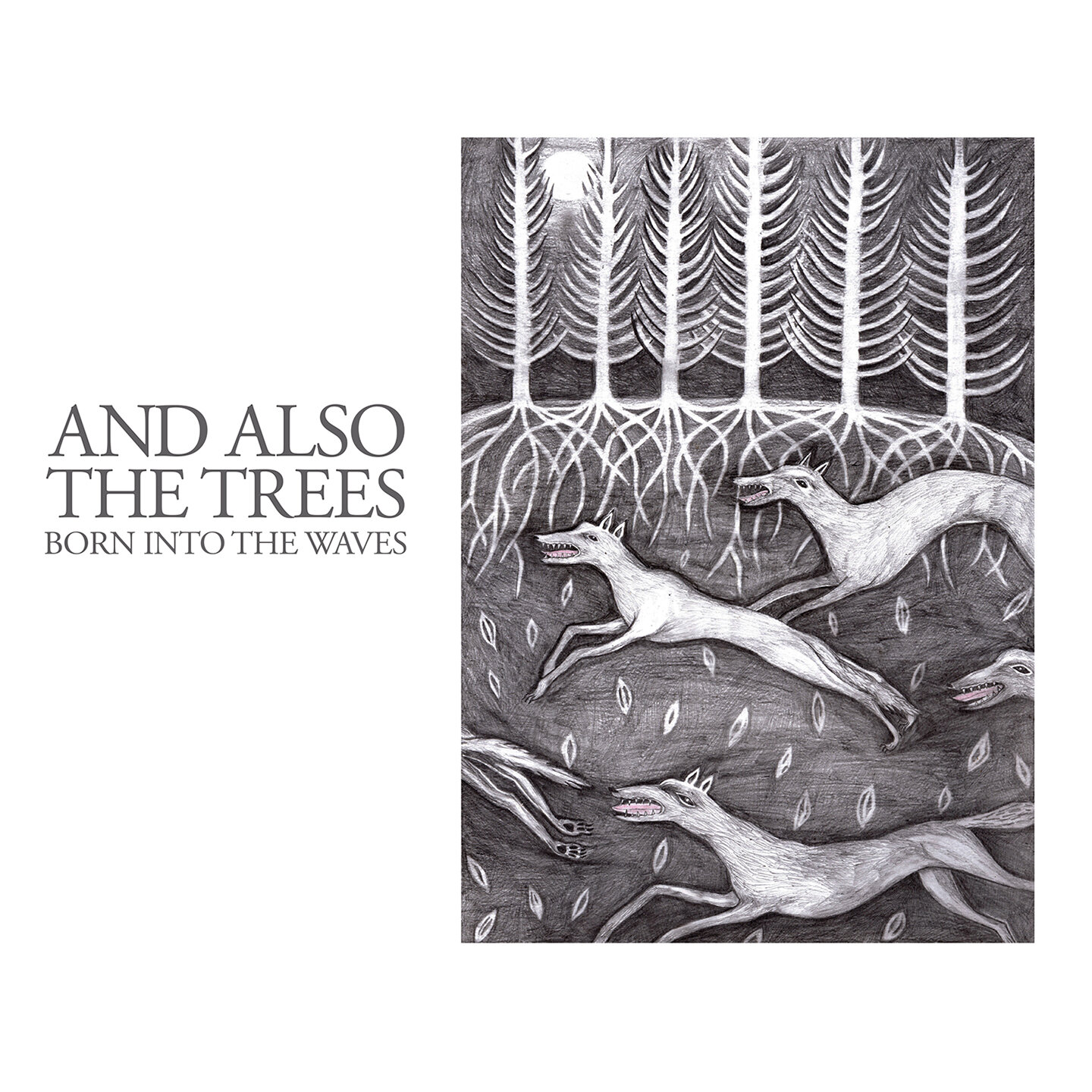 Discography — And Also The Trees